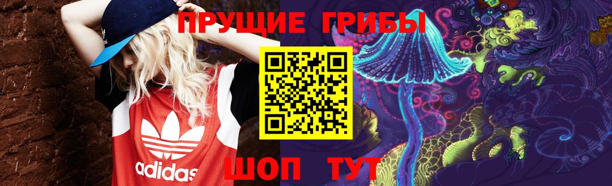 Псилоцибиновые грибы MAGIC MUSHROOMS  Вход с VPN  Нижний Новгород 