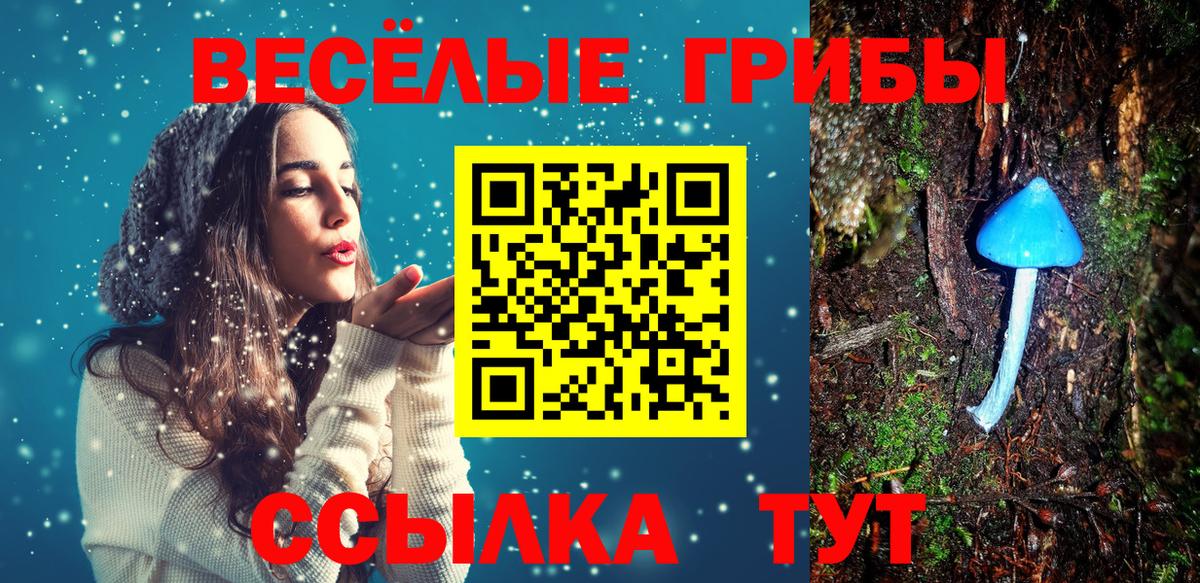 Псилоцибиновые грибы прущие грибы Нижний Новгород